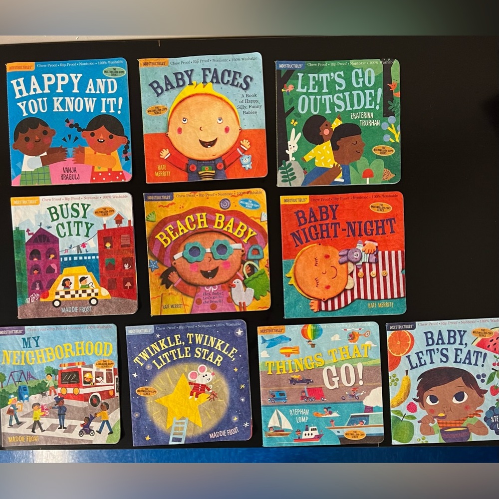 A LOT of 10 INDESTRUCTIBLES- Books...AMAZING FOR TEETHING! A Serious Must Have! - Picture 1 of 12